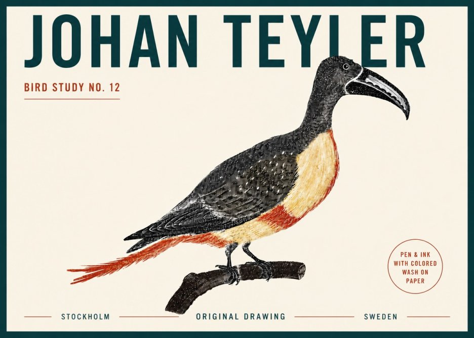 Johan Teyler Bird Study No. 12 - Original Drawing No5 - Juliste