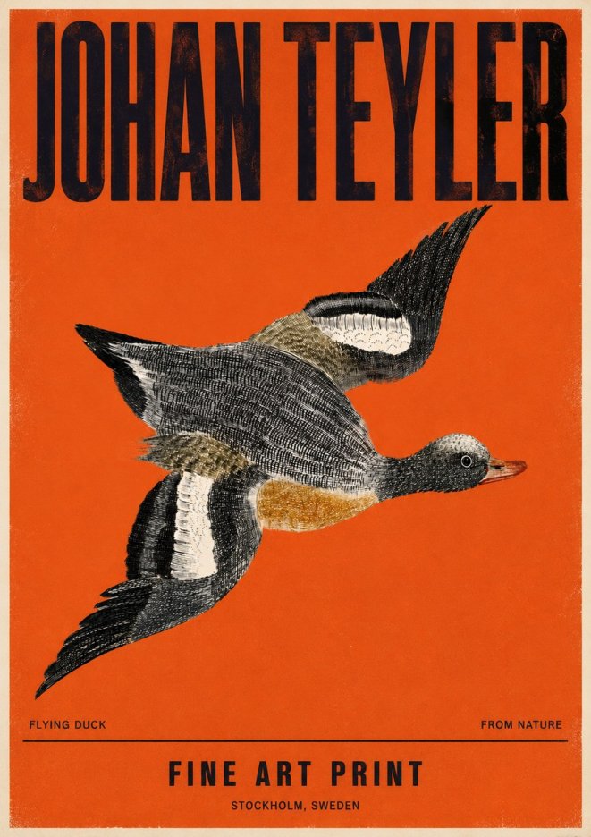 Johan Teyler Flying Duck No4 - Juliste