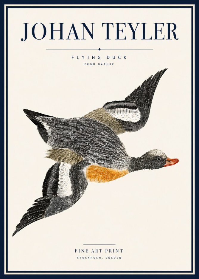 Johan Teyler Flying Duck No5 - Juliste