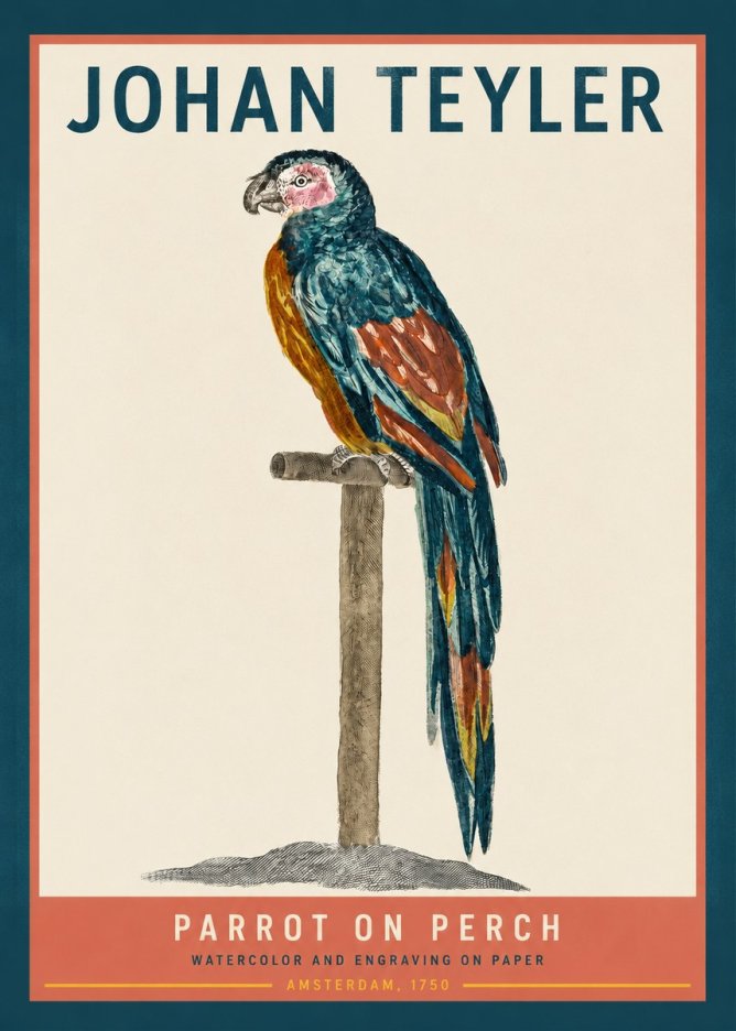 Johan Teyler Parrot on Perch No2 - Juliste
