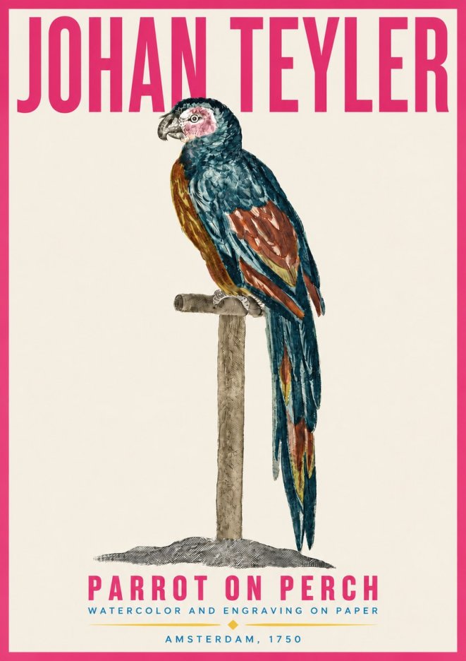 Johan Teyler Parrot on Perch No4 - Juliste