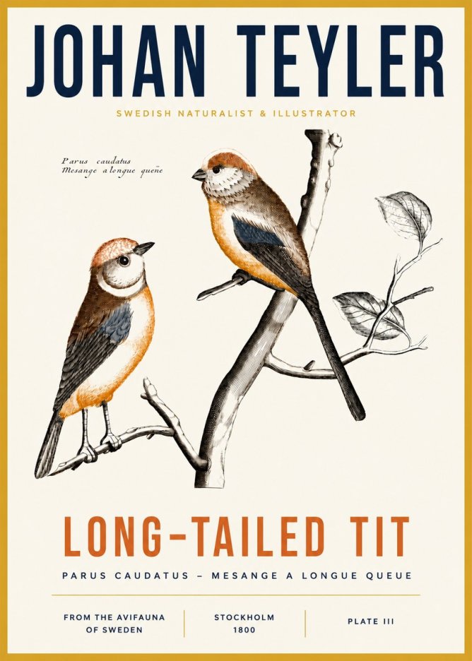 Johan Teyler Long-tailed Tit No3 - Juliste