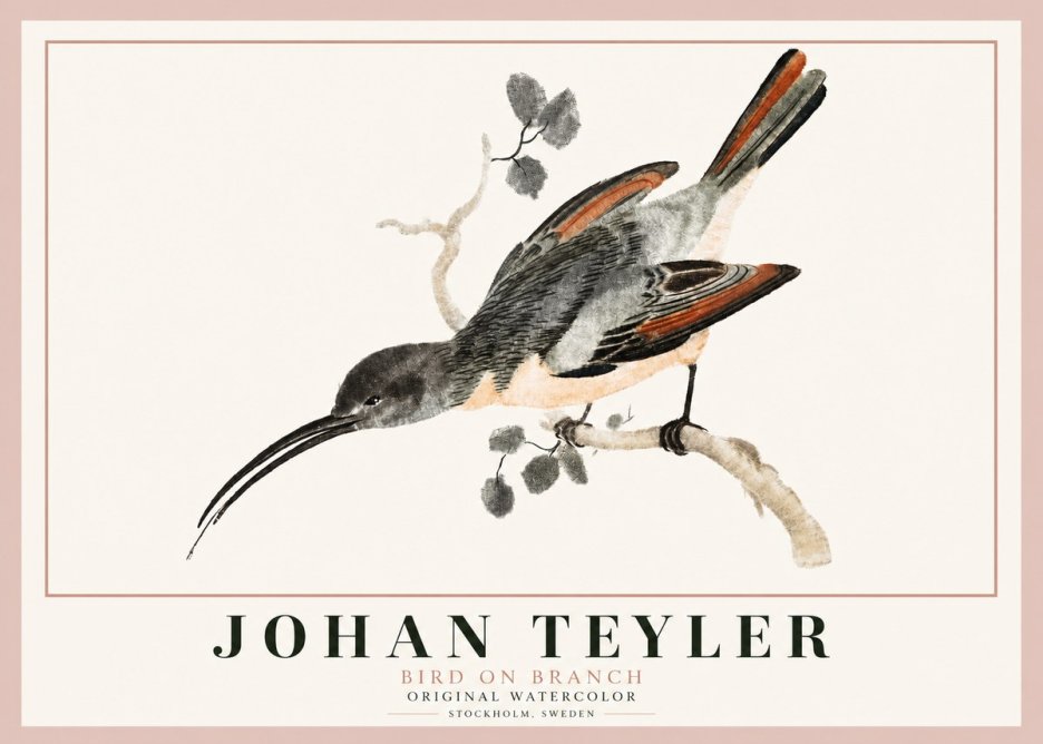 Johan Teyler Bird on Branch II No3 - Juliste