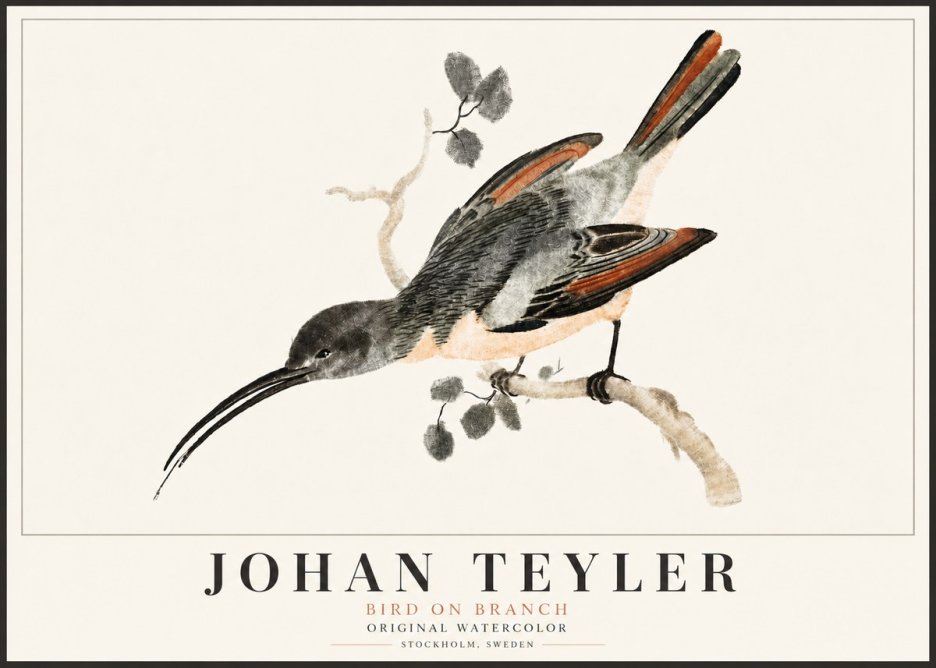 Johan Teyler Bird on Branch II No5 - Juliste