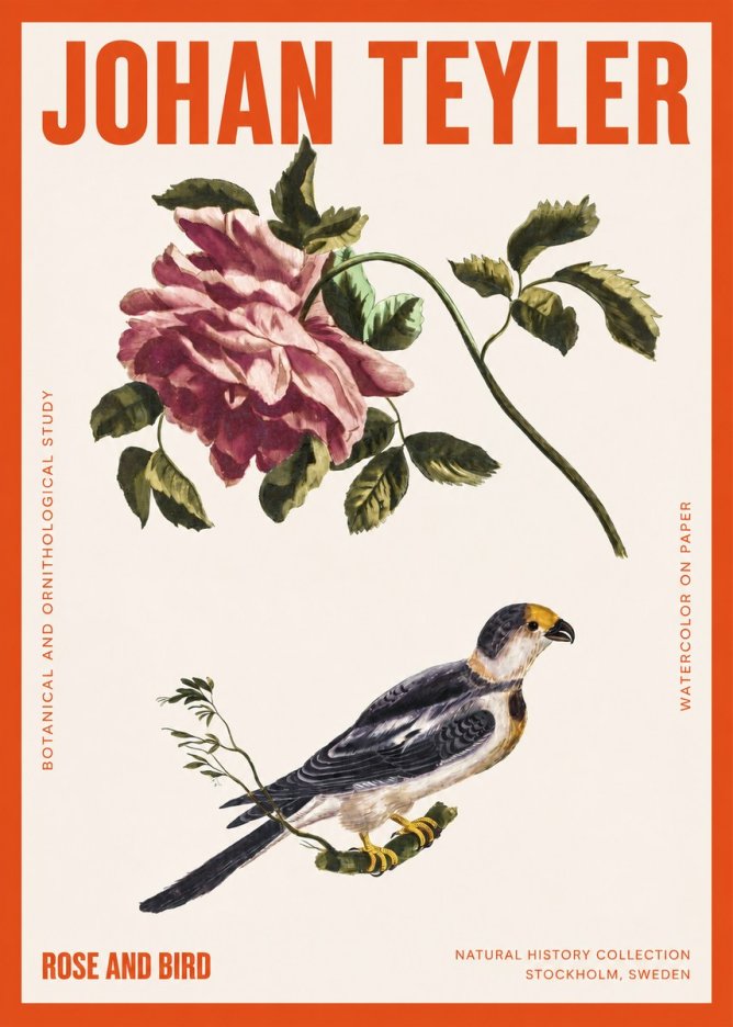 Johan Teyler Rose and Bird I No2 - Juliste