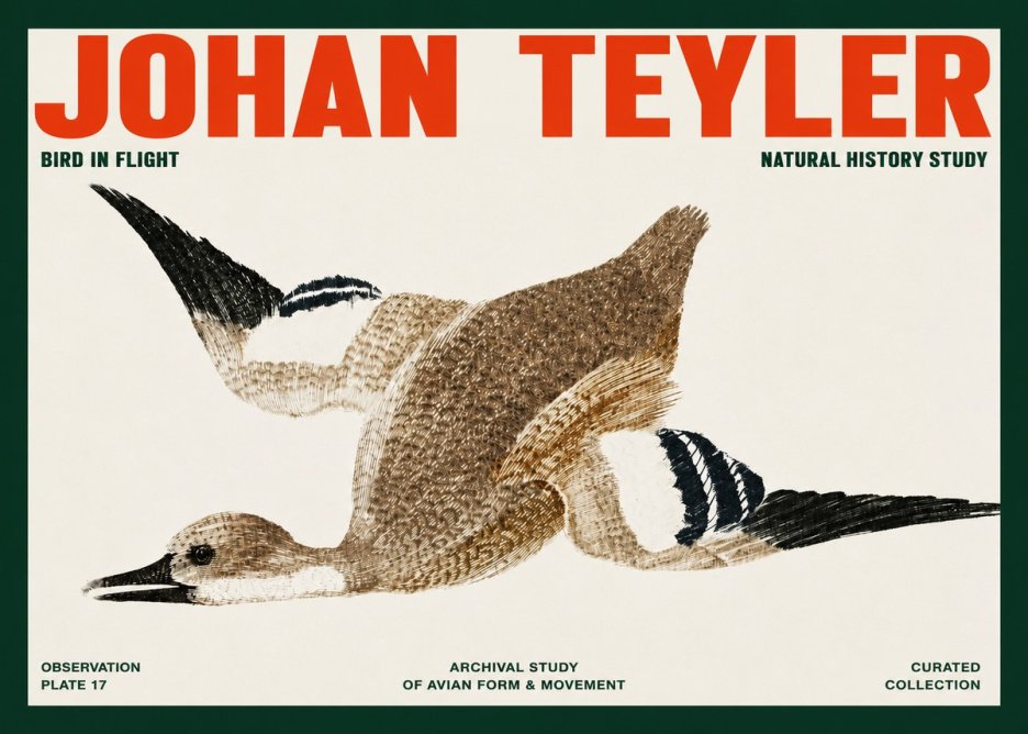 Johan Teyler Bird in Flight II No2 - Juliste