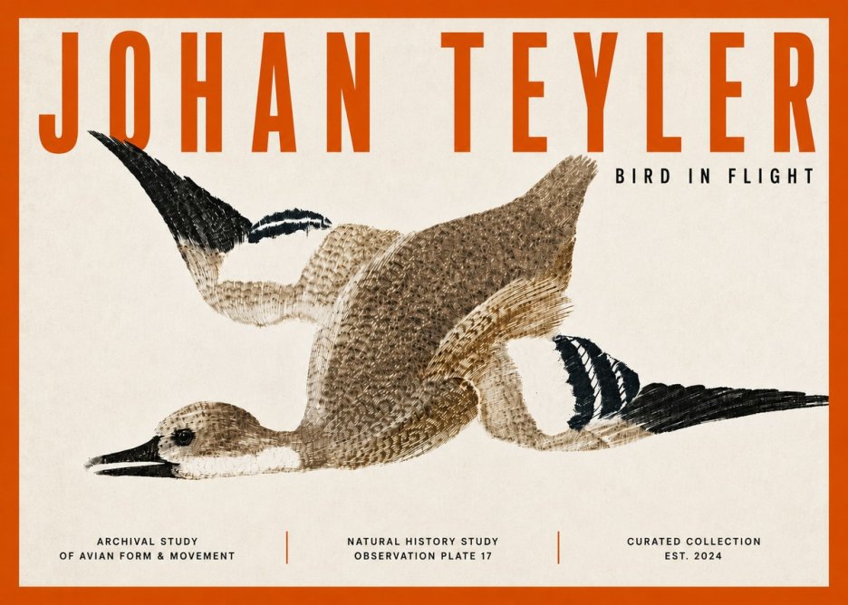 Johan Teyler Bird in Flight II No5 - Juliste