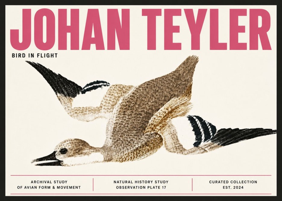 Johan Teyler Bird in Flight II No6 - Juliste