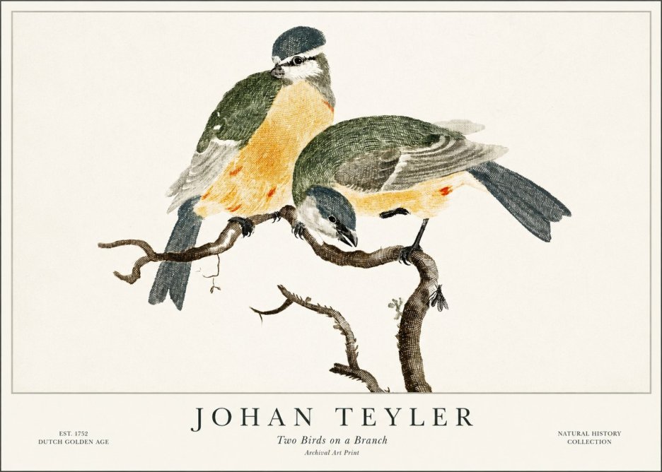 Johan Teyler Two Birds on a Branch No1 - Juliste