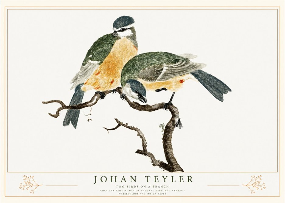 Johan Teyler Two Birds on a Branch No2 - Juliste