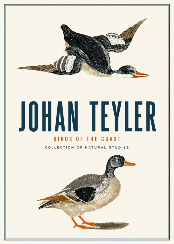Johan Teyler Birds of the Coast No4 - Juliste