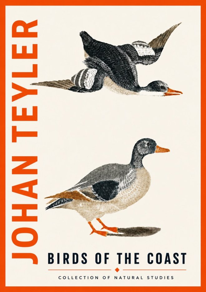 Johan Teyler Birds of the Coast No5 - Juliste