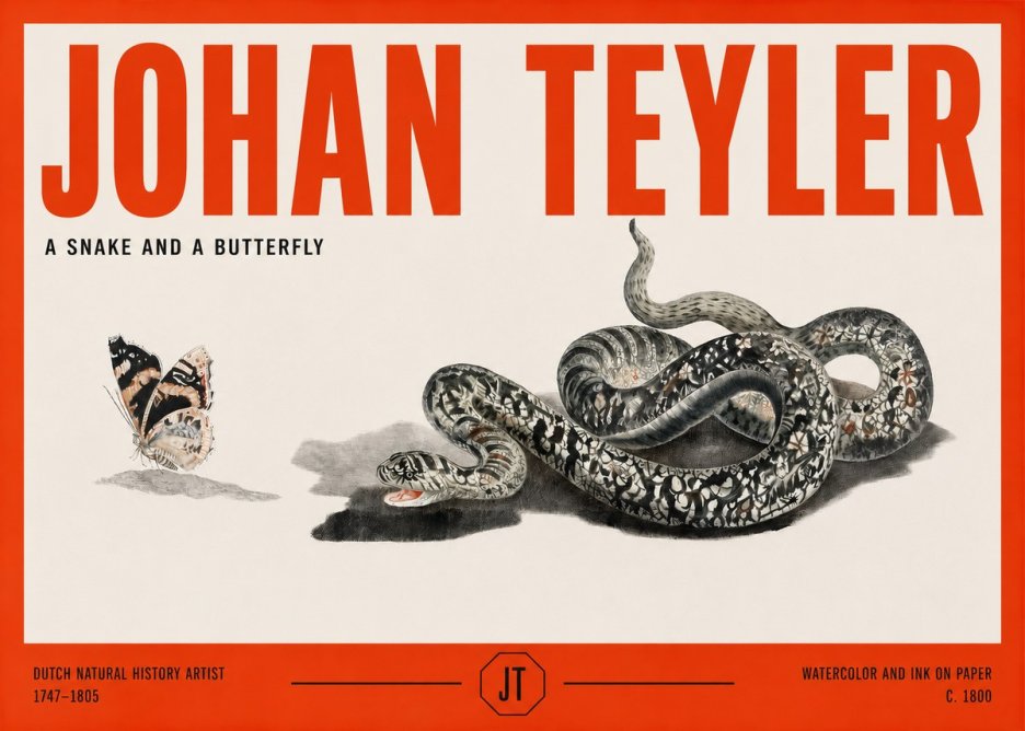 Johan Teyler Snake and Butterfly No3 - Juliste