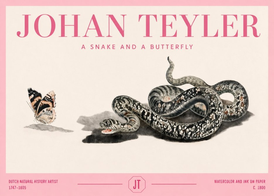 Johan Teyler Snake and Butterfly No4 - Juliste