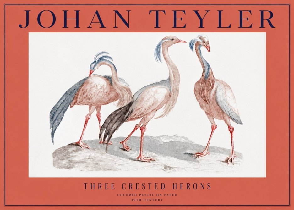 Johan Teyler Three Crested Herons No2 - Juliste
