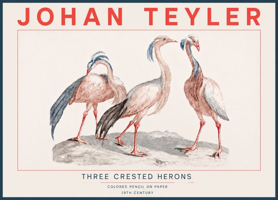 Johan Teyler Three Crested Herons No4 - Juliste