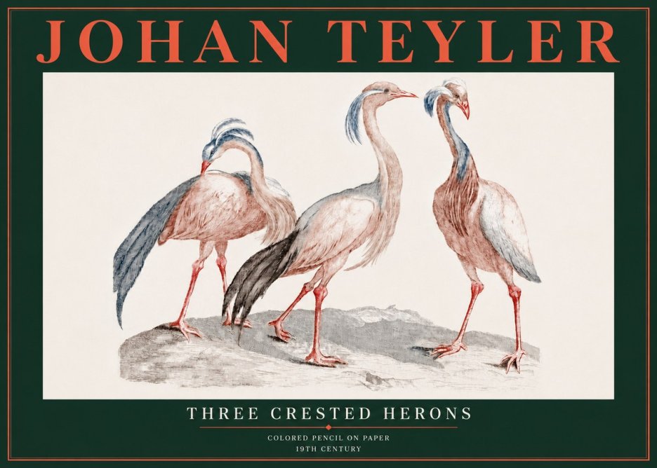 Johan Teyler Three Crested Herons No5 - Juliste