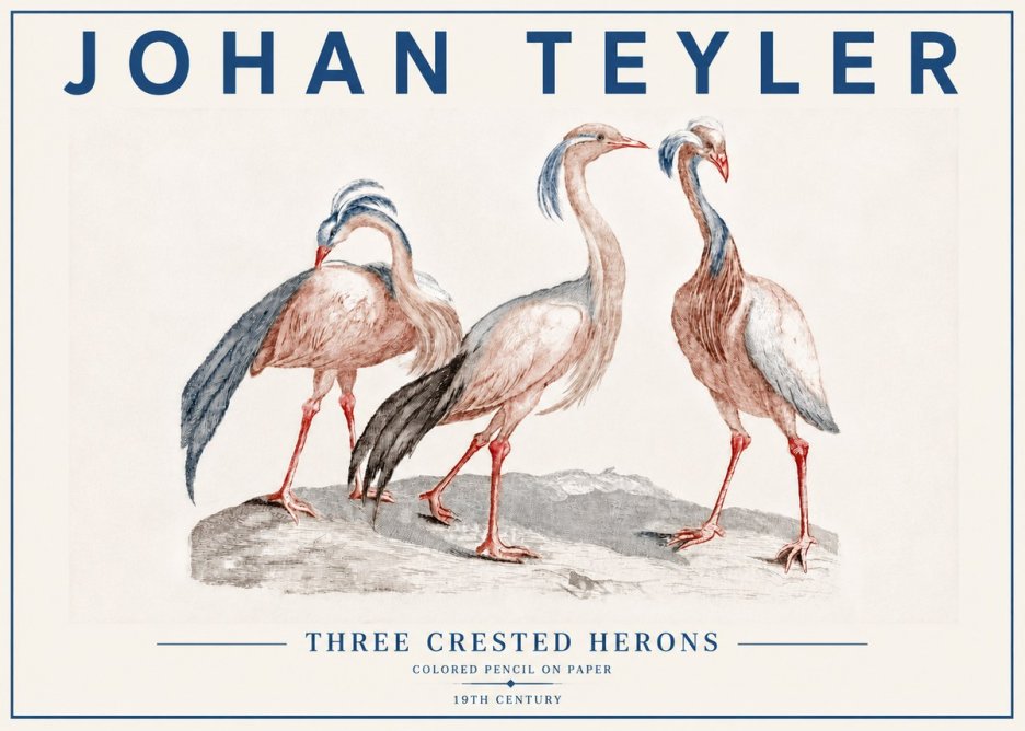 Johan Teyler Three Crested Herons No6 - Juliste
