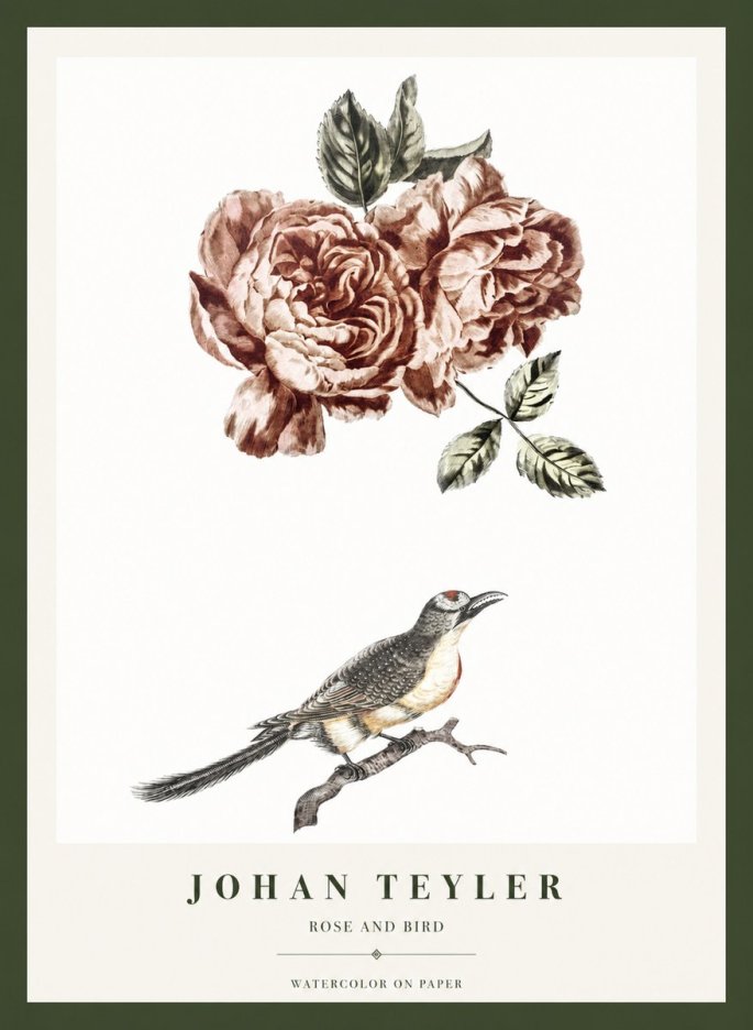 Johan Teyler Rose and Bird II No1 - Juliste