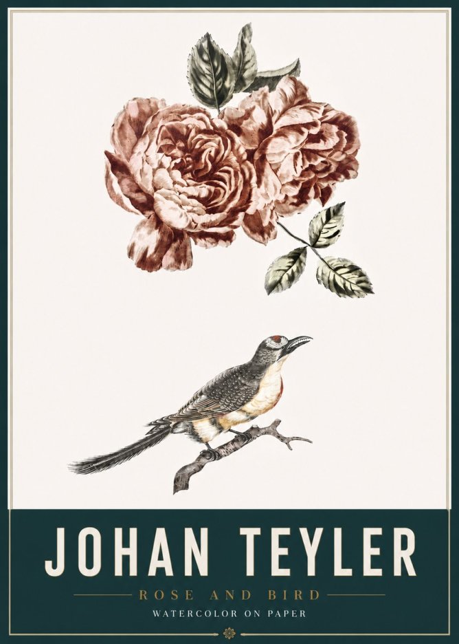 Johan Teyler Rose and Bird II No3 - Juliste