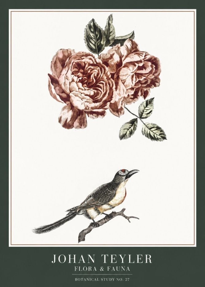 Johan Teyler Rose and Bird II No6 - Juliste