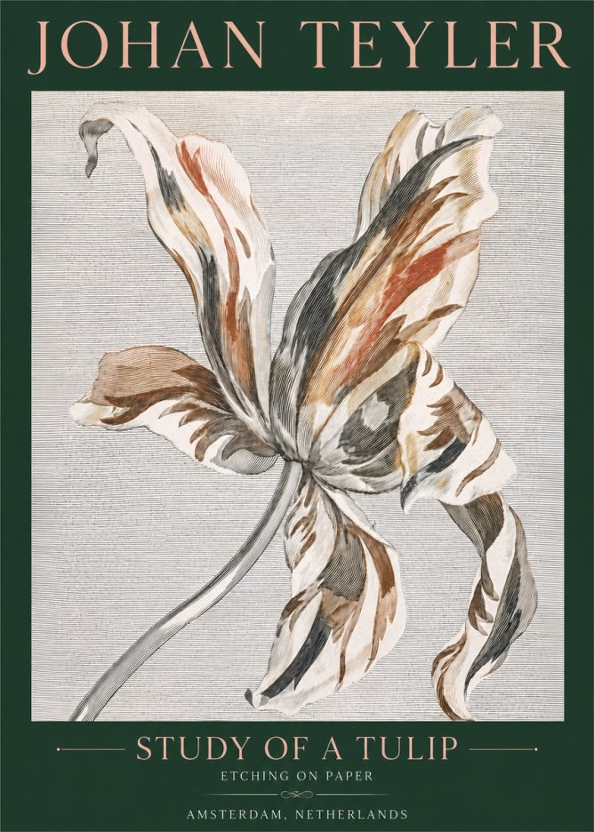 Johan Teyler Study of a Tulip No4 - Juliste