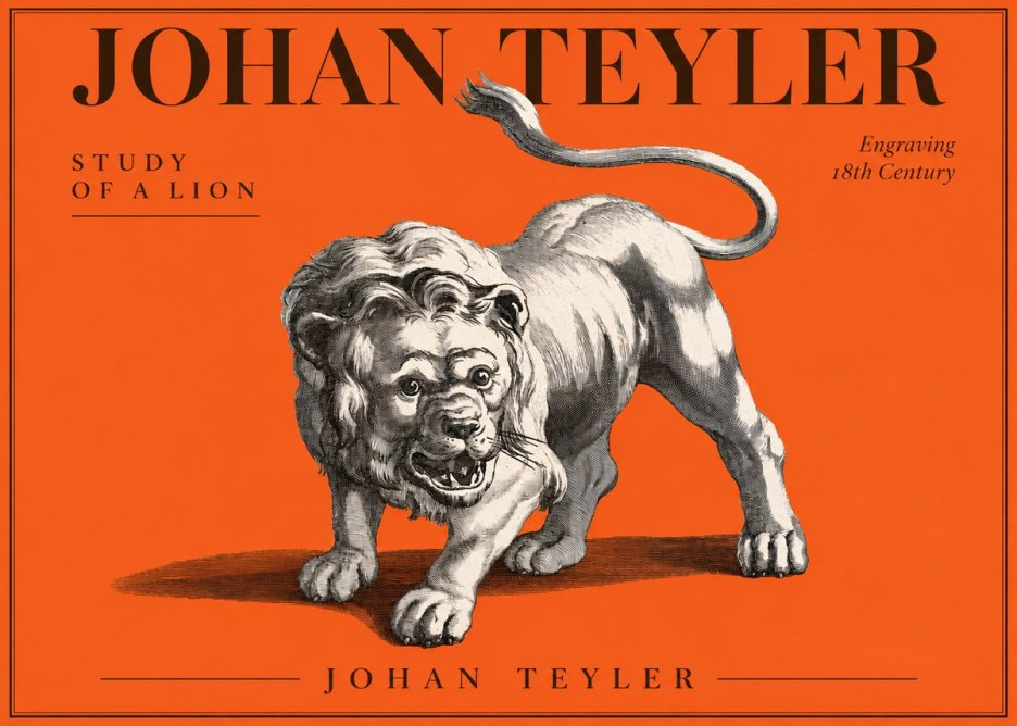 Johan Teyler Study of a Lion No3 - Juliste