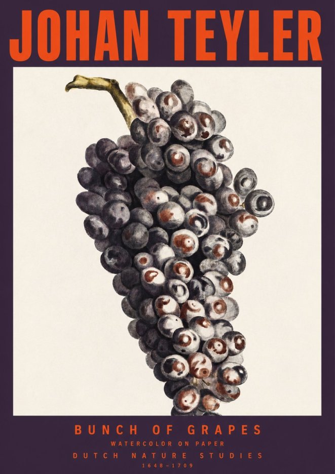Johan Teyler Bunch of Grapes No2 - Juliste