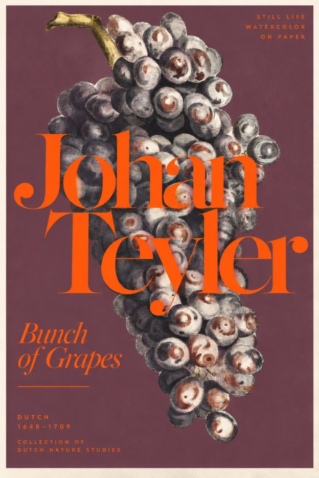 Johan Teyler Bunch of Grapes No3 - Juliste