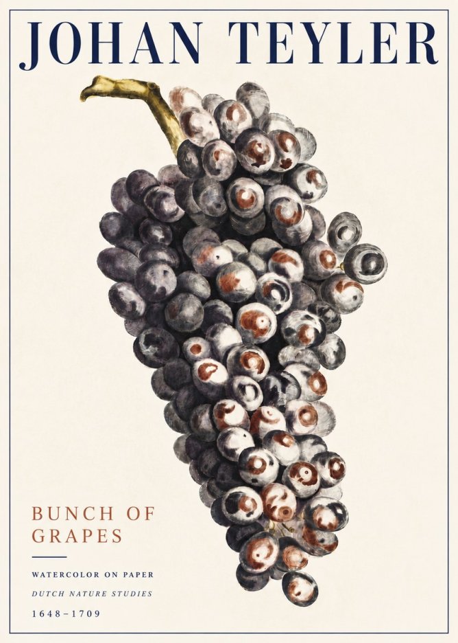 Johan Teyler Bunch of Grapes No5 - Juliste