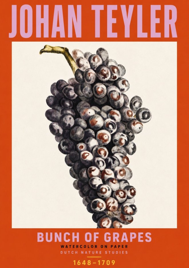 Johan Teyler Bunch of Grapes No6 - Juliste