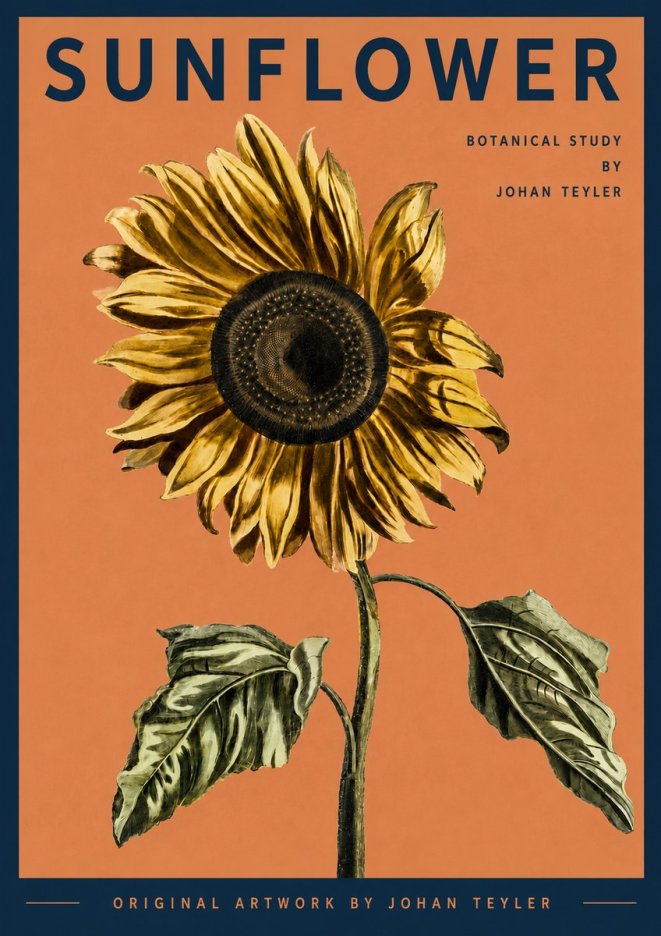 Johan Teyler Sunflower - Botanical Study No3 - Juliste