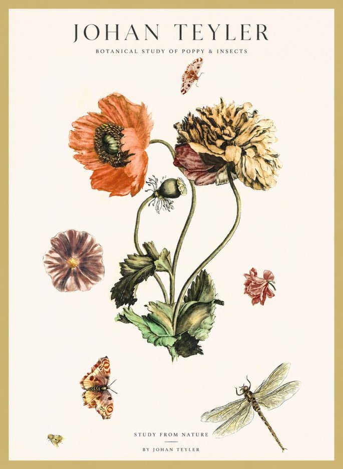 Johan Teyler Botanical Study of Poppy & Insects No1 - Juliste