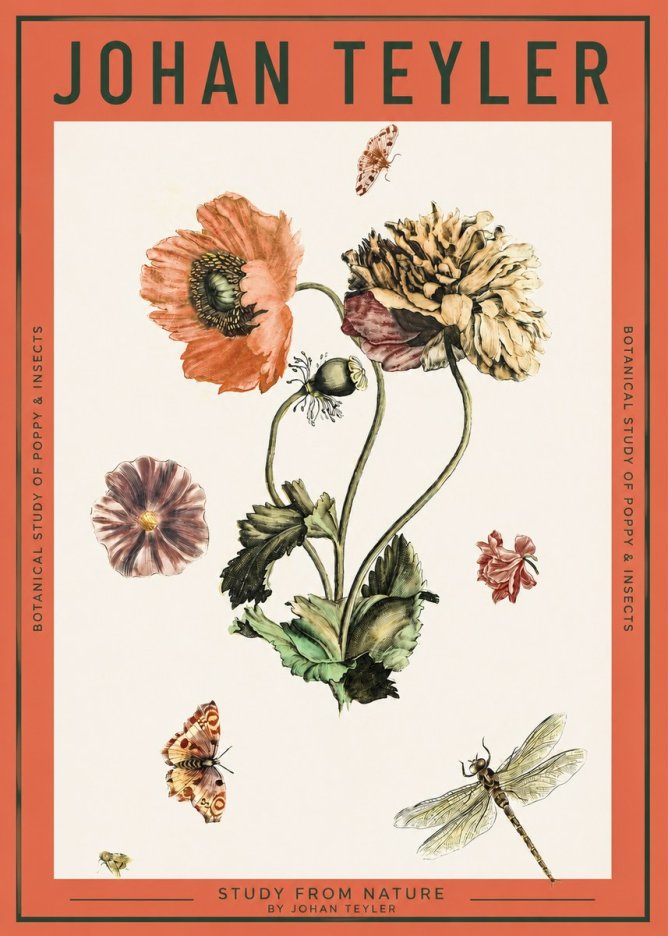 Johan Teyler Botanical Study of Poppy & Insects No2 - Juliste
