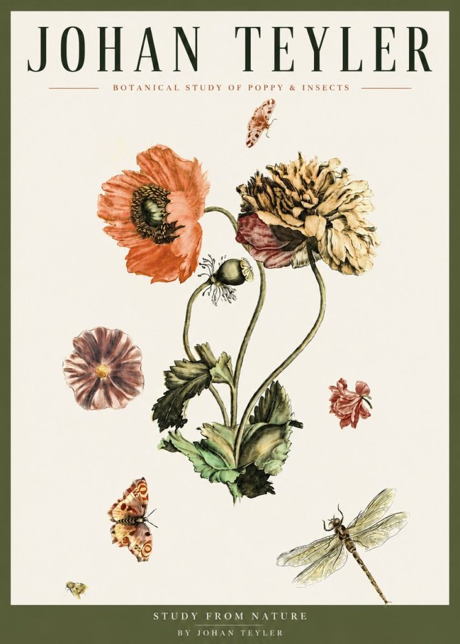 Johan Teyler Botanical Study of Poppy & Insects No3 - Juliste