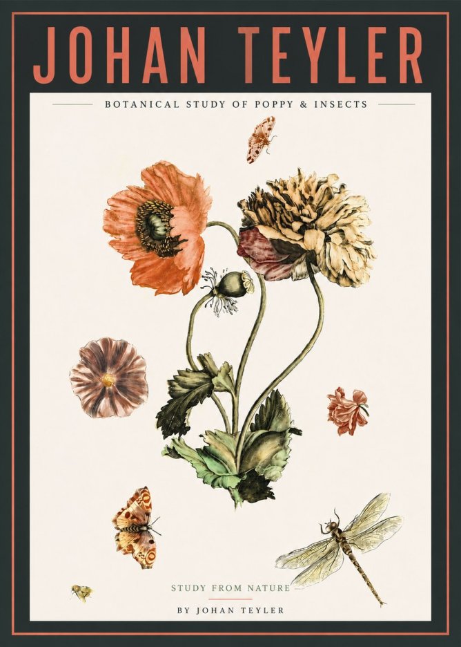 Johan Teyler Botanical Study of Poppy & Insects No4 - Juliste