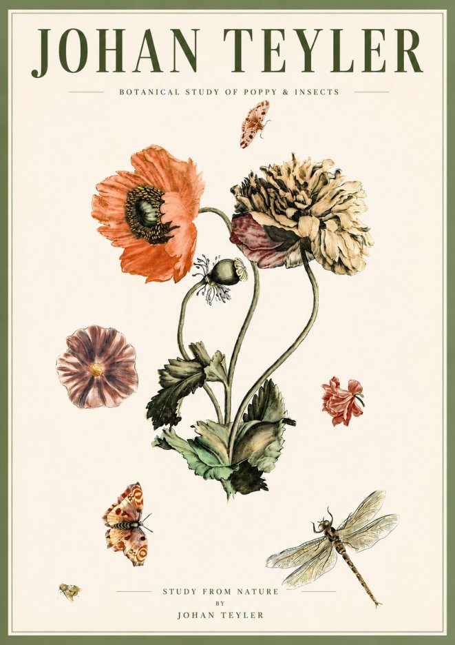 Johan Teyler Botanical Study of Poppy & Insects No5 - Juliste