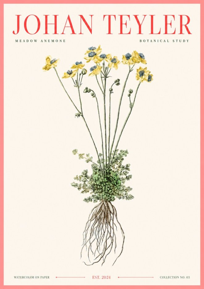 Johan Teyler Meadow Anemone No3 - Juliste