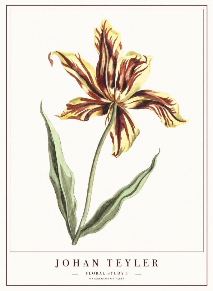Johan Teyler Floral Study I No1 - Juliste