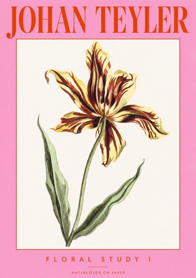 Johan Teyler Floral Study I No3 - Juliste