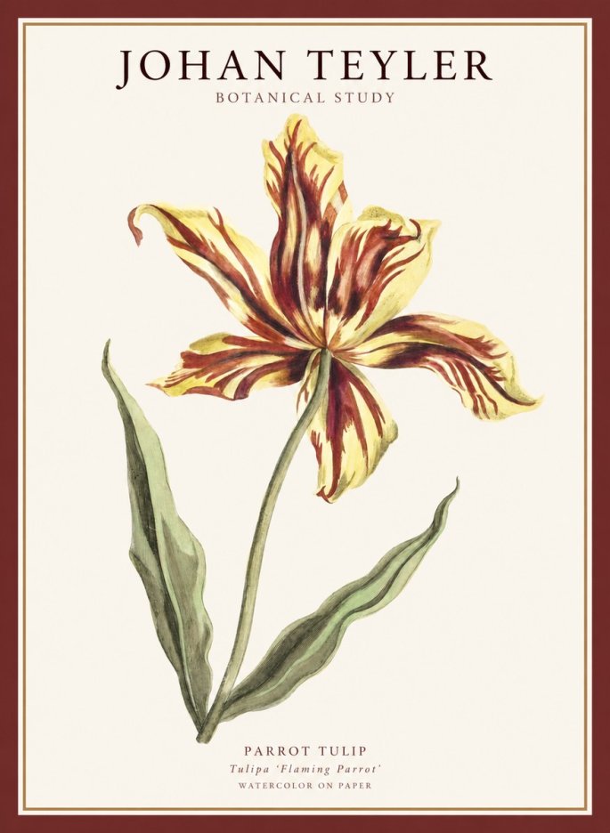 Johan Teyler Floral Study I No5 - Juliste