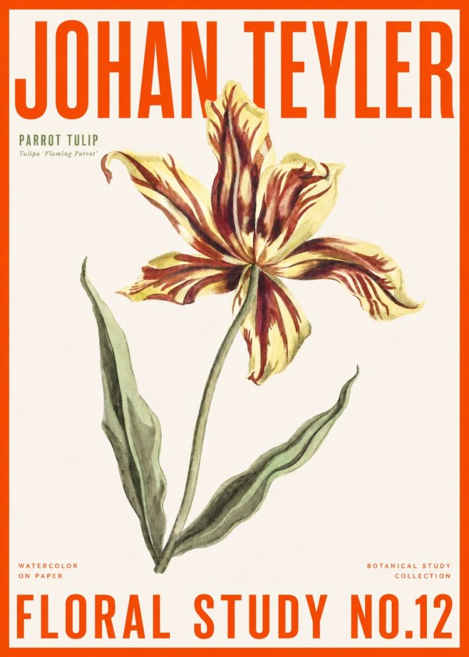 Johan Teyler Floral Study I No6 - Juliste