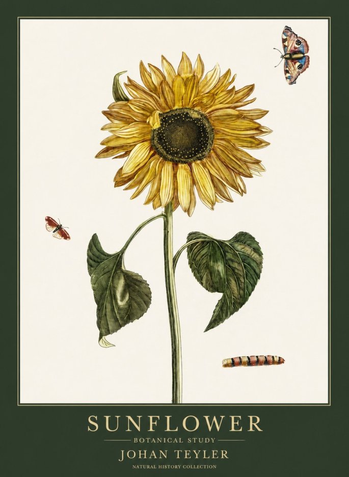 Johan Teyler Sunflower with Insects No6 - Juliste