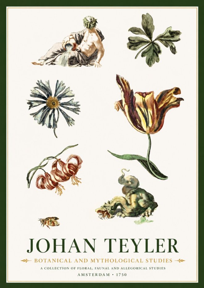 Johan Teyler Botanical and Mythological Studies No4 - Juliste