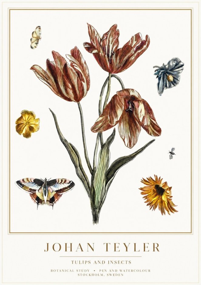 Johan Teyler Tulips and Insects No1 - Juliste