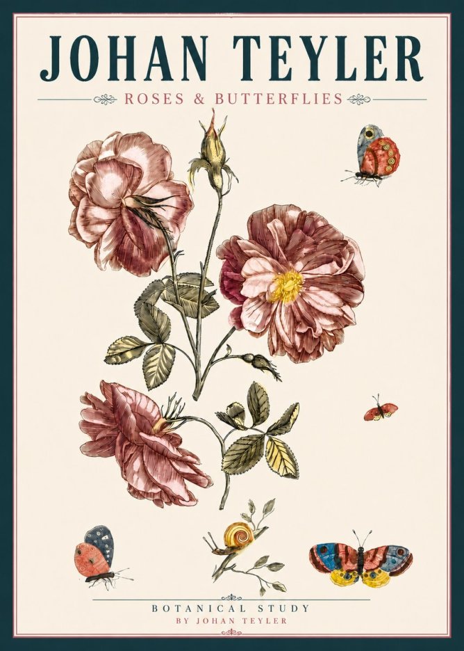 Johan Teyler Roses & Butterflies - Botanical Study No4 - Juliste