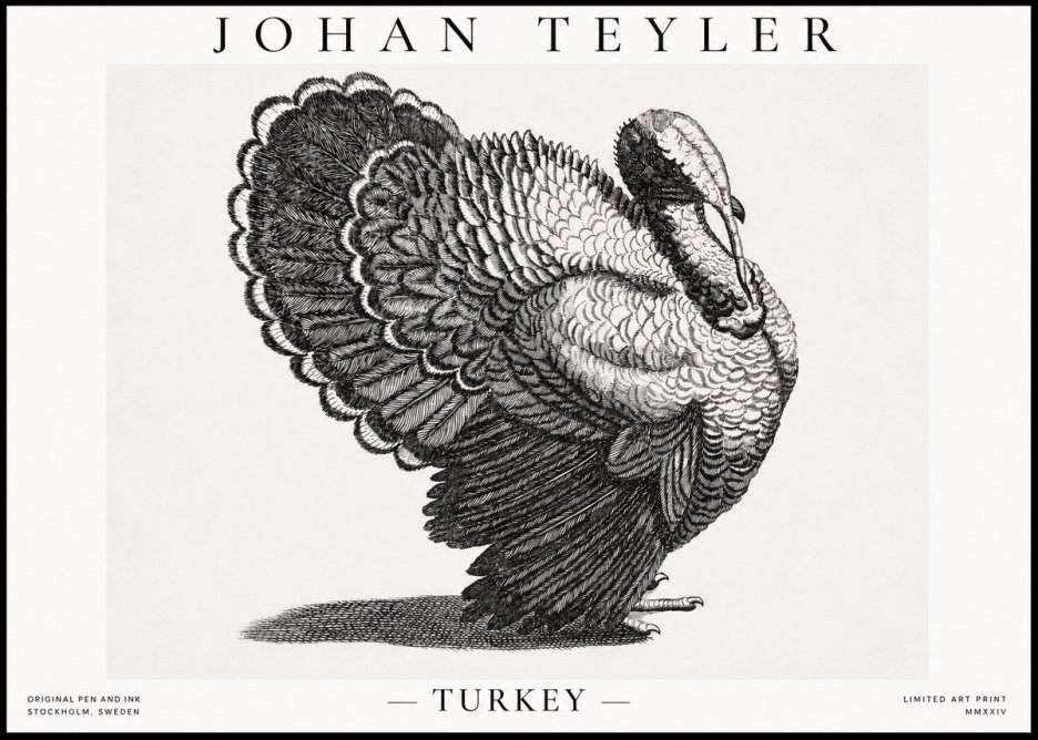 Johan Teyler Turkey No1 - Juliste