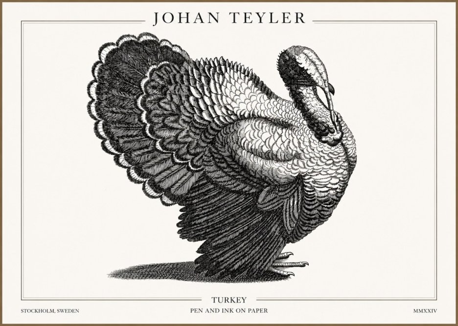 Johan Teyler Turkey No2 - Juliste