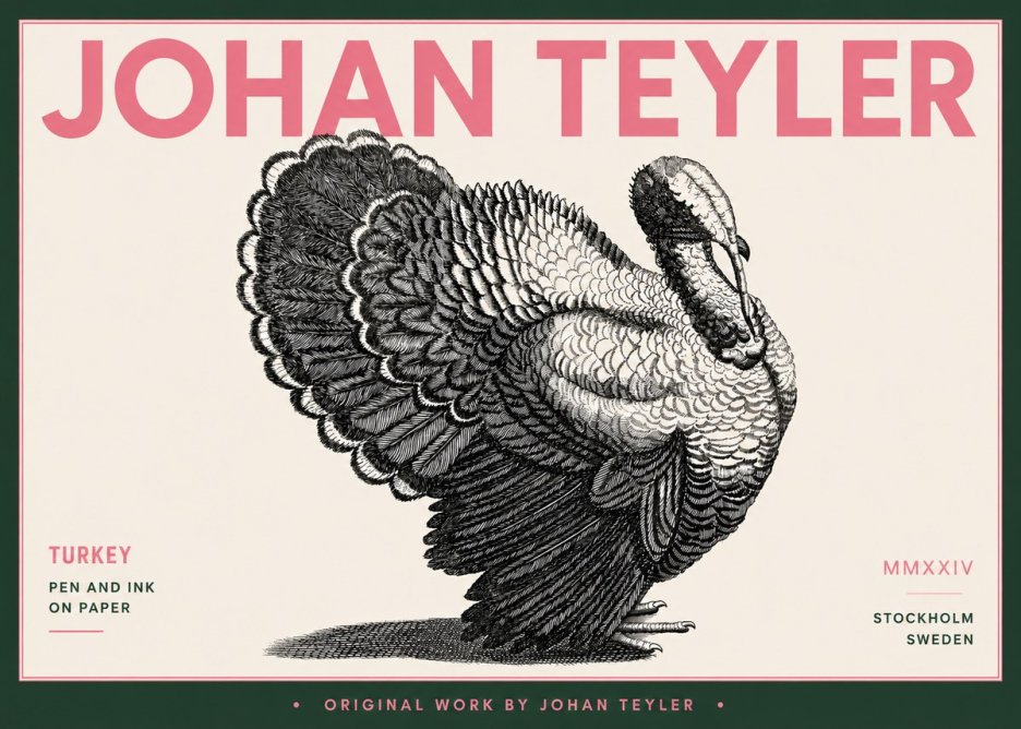 Johan Teyler Turkey No5 - Juliste