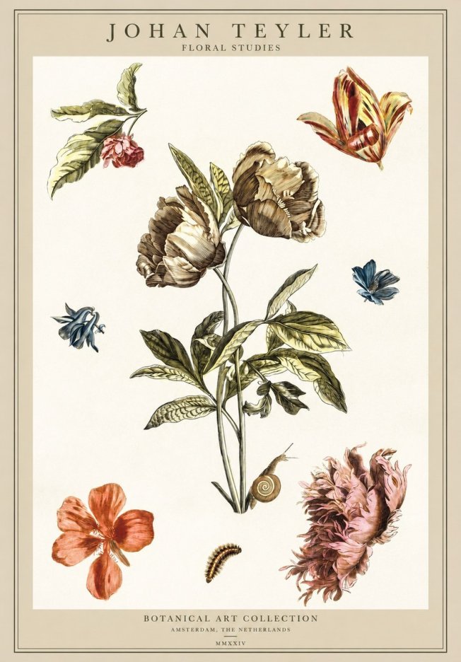 Johan Teyler Floral Studies No1 - Juliste